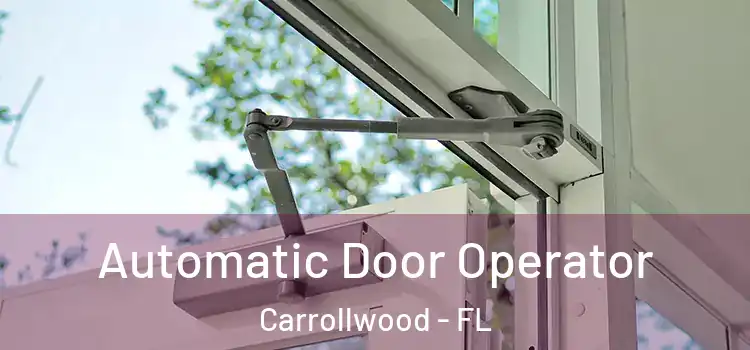  Automatic Door Operator Carrollwood - FL