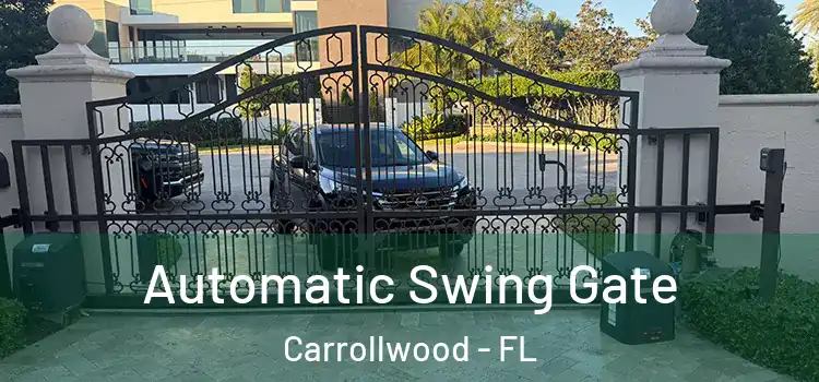  Automatic Swing Gate Carrollwood - FL