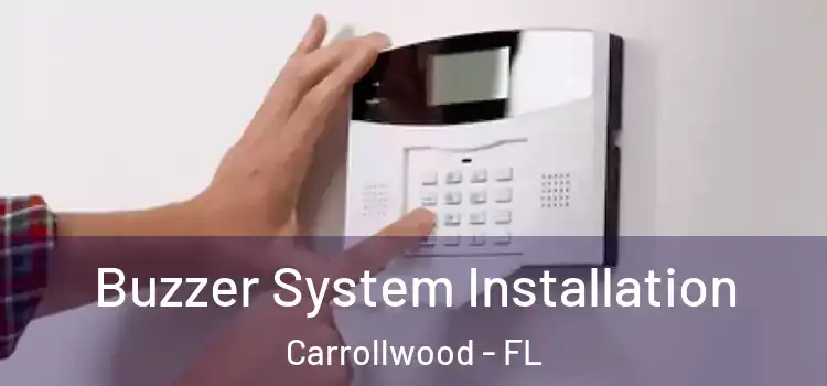 Buzzer System Installation Carrollwood - FL