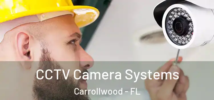 CCTV Camera Systems Carrollwood - FL