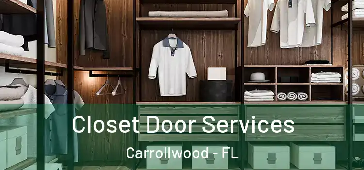  Closet Door Services Carrollwood - FL