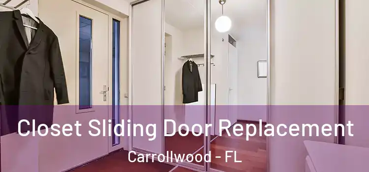  Closet Sliding Door Replacement Carrollwood - FL