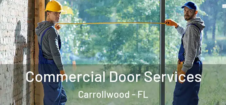  Commercial Door Services Carrollwood - FL