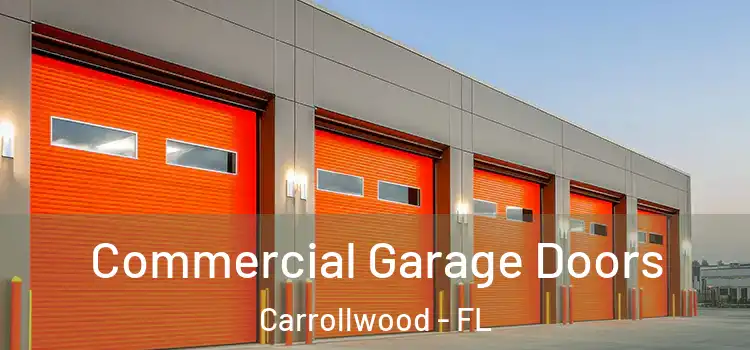  Commercial Garage Doors Carrollwood - FL