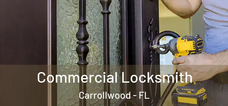 Commercial Locksmith Carrollwood - FL