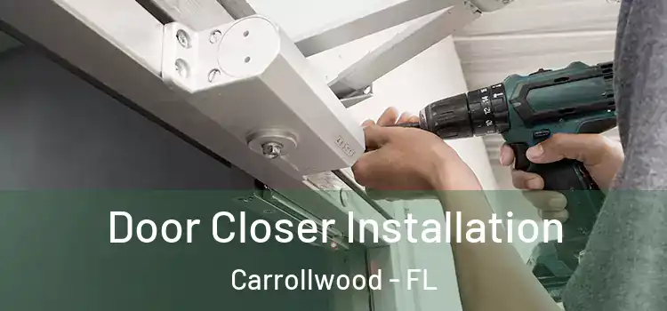  Door Closer Installation Carrollwood - FL