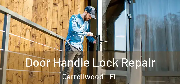  Door Handle Lock Repair Carrollwood - FL