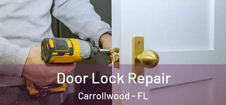  Door Lock Repair Carrollwood - FL