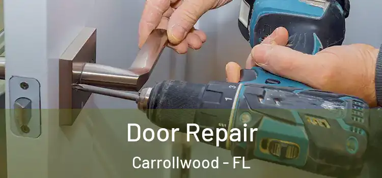  Door Repair Carrollwood - FL