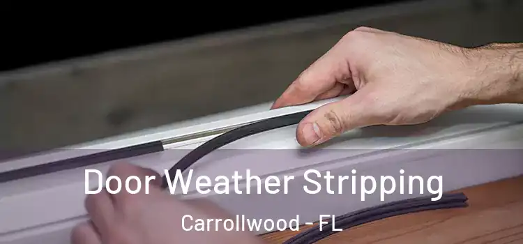  Door Weather Stripping Carrollwood - FL