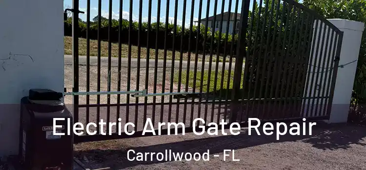  Electric Arm Gate Repair Carrollwood - FL