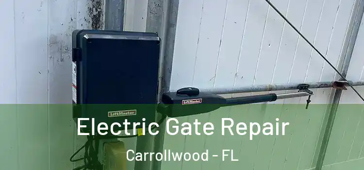  Electric Gate Repair Carrollwood - FL
