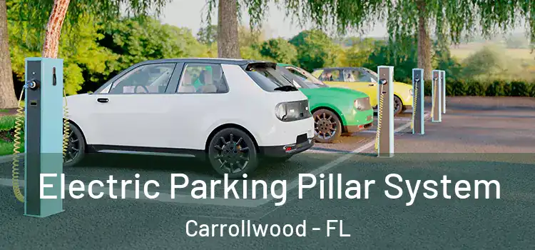  Electric Parking Pillar System Carrollwood - FL