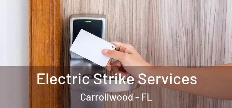  Electric Strike Services Carrollwood - FL