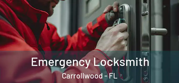  Emergency Locksmith Carrollwood - FL