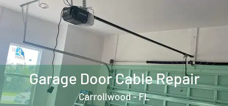  Garage Door Cable Repair Carrollwood - FL