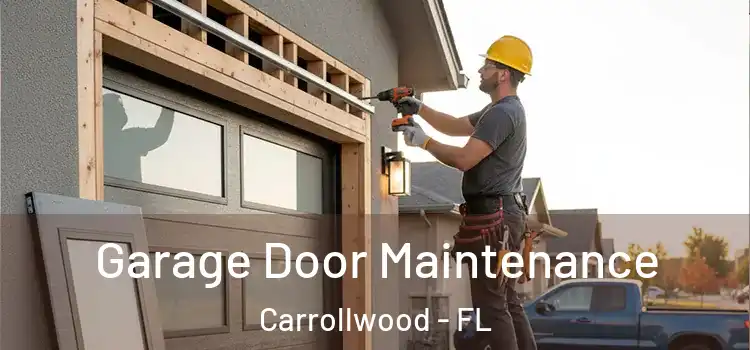  Garage Door Maintenance Carrollwood - FL