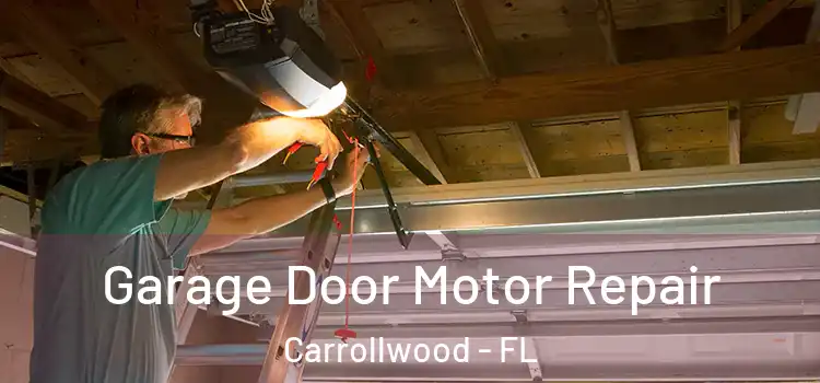  Garage Door Motor Repair Carrollwood - FL