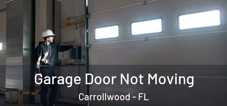  Garage Door Not Moving Carrollwood - FL
