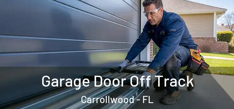  Garage Door Off Track Carrollwood - FL