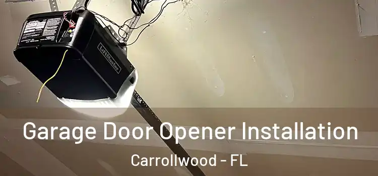  Garage Door Opener Installation Carrollwood - FL