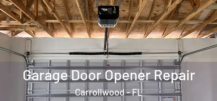 Garage Door Opener Repair Carrollwood - FL
