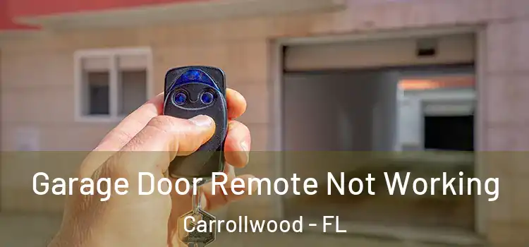  Garage Door Remote Not Working Carrollwood - FL