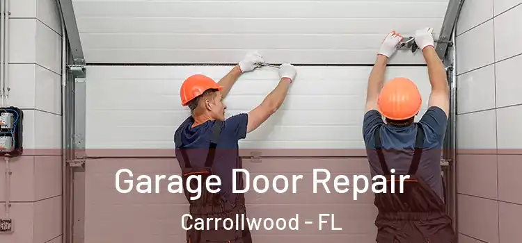  Garage Door Repair Carrollwood - FL