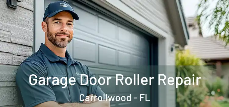  Garage Door Roller Repair Carrollwood - FL