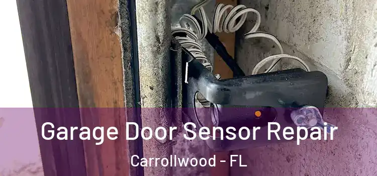  Garage Door Sensor Repair Carrollwood - FL