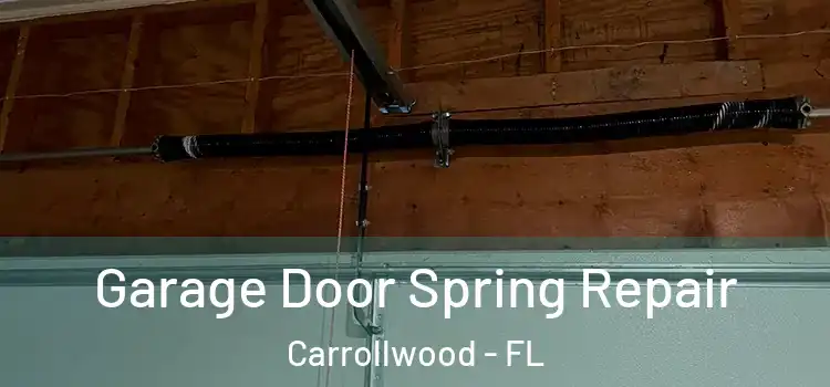  Garage Door Spring Repair Carrollwood - FL