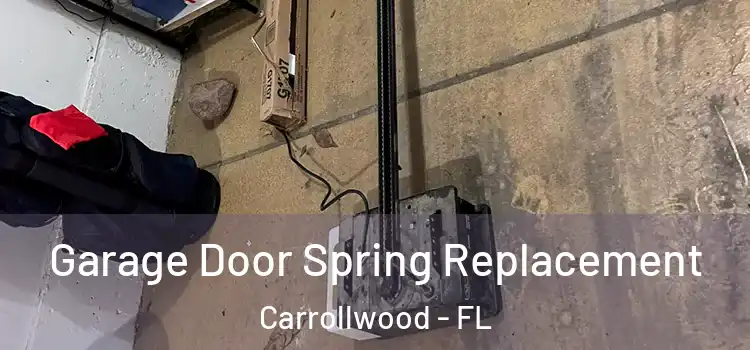  Garage Door Spring Replacement Carrollwood - FL
