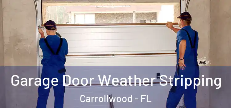  Garage Door Weather Stripping Carrollwood - FL