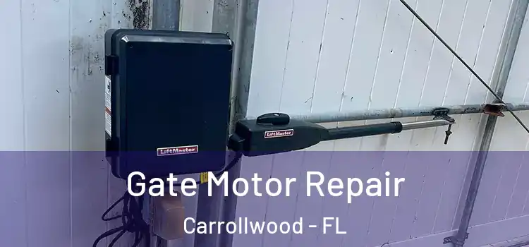  Gate Motor Repair Carrollwood - FL