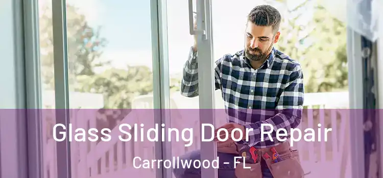  Glass Sliding Door Repair Carrollwood - FL