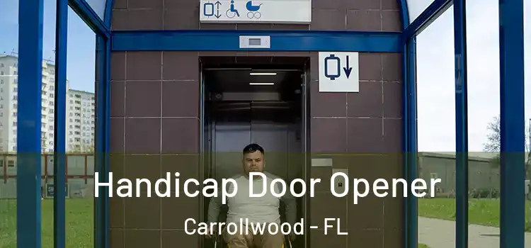  Handicap Door Opener Carrollwood - FL