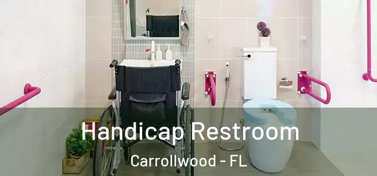  Handicap Restroom Carrollwood - FL