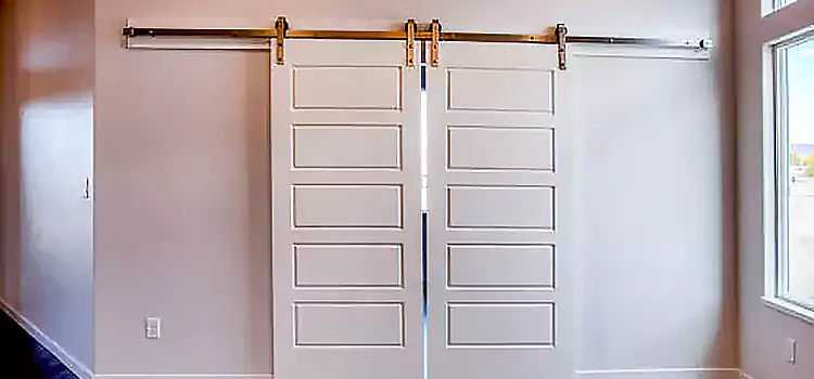 Glass Barn Door with Installation Hardware Kit Carrollwood