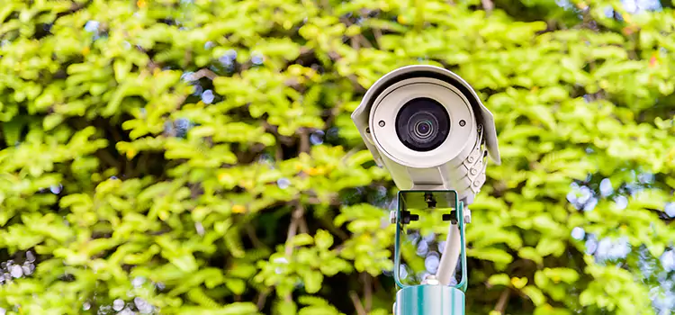 Advanced Surveillance Solutions for Every Need in Carrollwood