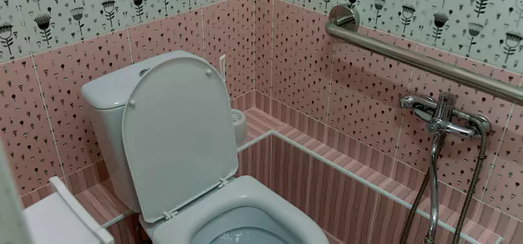 Meeting Diverse Needs With Accessible Restroom Solutions in Carrollwood, FL
