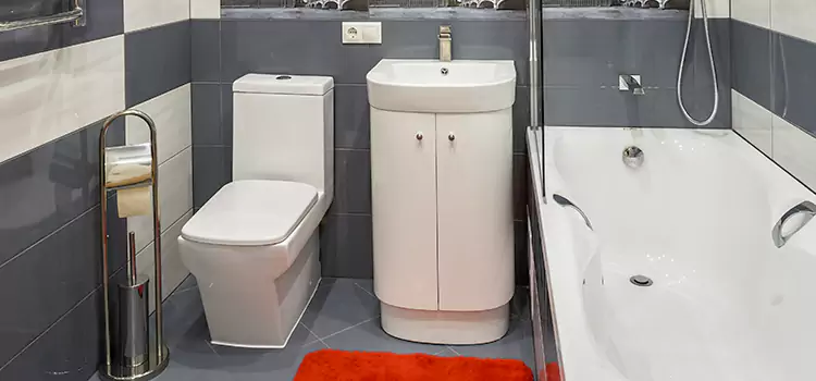 Hansgrohe Shaving Mirror Carrollwood