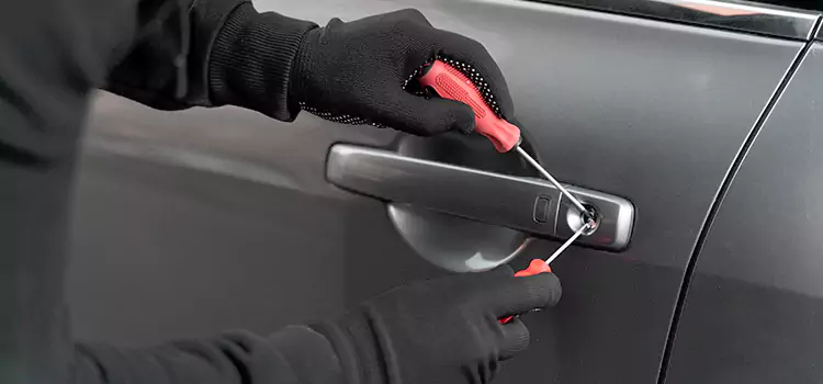 Fast Help in Carrollwood When You Need It Most