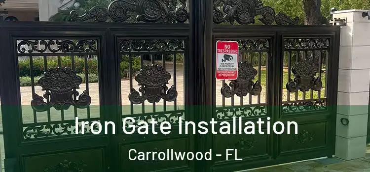  Iron Gate Installation Carrollwood - FL