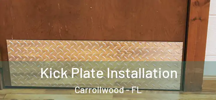  Kick Plate Installation Carrollwood - FL