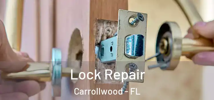  Lock Repair Carrollwood - FL