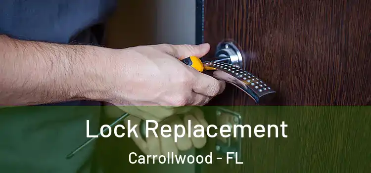 Lock Replacement Carrollwood - FL