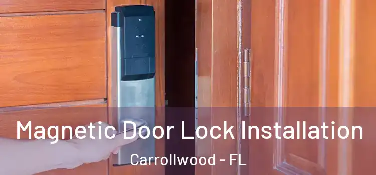  Magnetic Door Lock Installation Carrollwood - FL