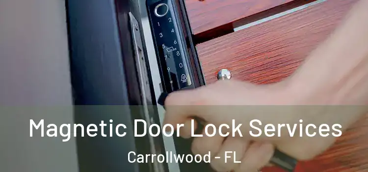 Magnetic Door Lock Services Carrollwood - FL