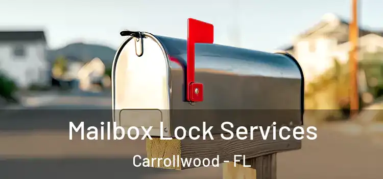 Mailbox Lock Services Carrollwood - FL