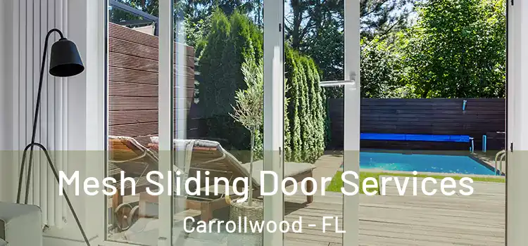  Mesh Sliding Door Services Carrollwood - FL